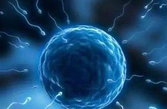 2026太原试管婴儿成本揭晓，5万元是否足够？