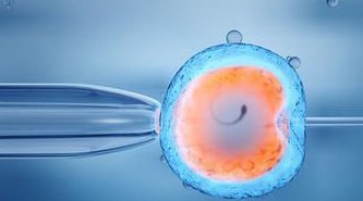 2026厦门助孕机构全攻略：详尽目录大公开