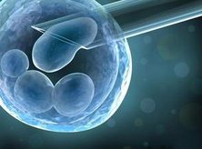 2026在惠州做试管助孕需要多少钱？