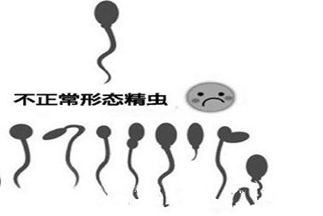 2026国内试管婴儿成功率较高的医院排行榜前十名单汇总