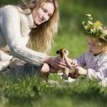 2026国内三大试管必要条件分享