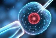 2026南通大学附属医院试管成功率解读，试管助孕费用清单