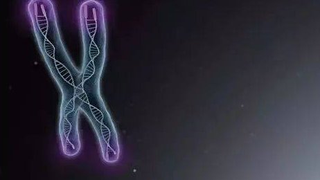 2026平顶山试管婴儿医院推荐，一看便知哪家做得好