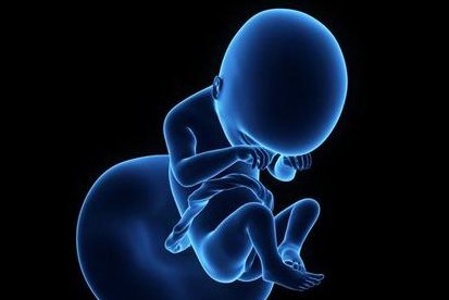 2026合肥市助孕机构推荐哪几家？排名前5家费用+成功率，一次性公布！